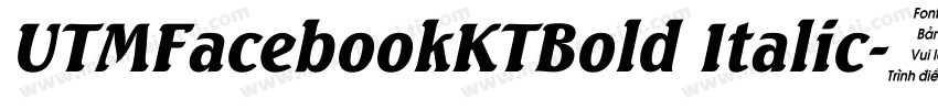 UTMFacebookKTBold Italic字体转换